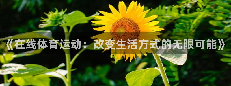 光速体育官方版下载：《在线体育运动：改变生活方式的无限可能》
