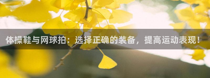 下载光速体育