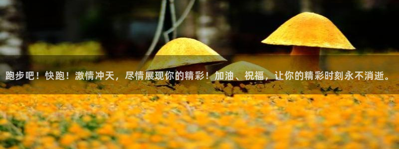 光速体育在线直播篮球