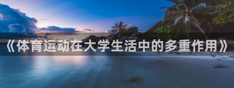 下载光速体育：《体育运动在大学生活中的多重作用》