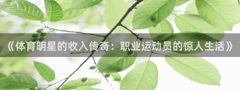 光速体育雨燕：《体育明星的收入传奇：职业运动员的惊人生活》